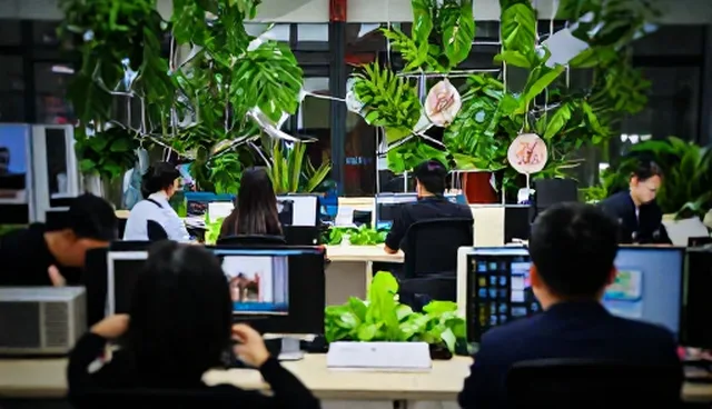 新媒体内容运营常见误区与选型关注点解析